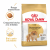 Pomerania